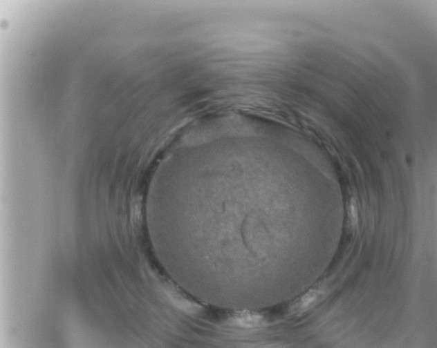 X0000066510278200603241314