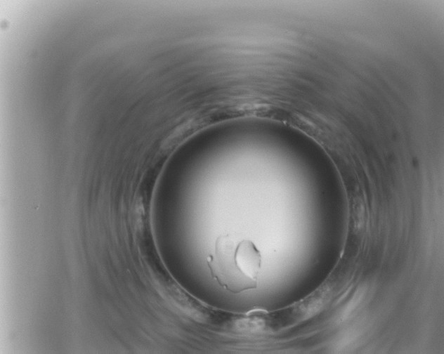 X0000066510279200603241314