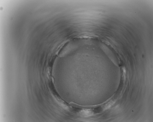 X0000066510280200603241314