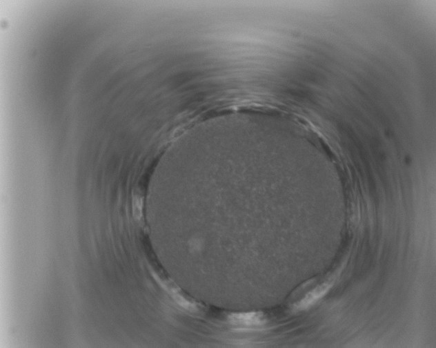 X0000066510281200603241314