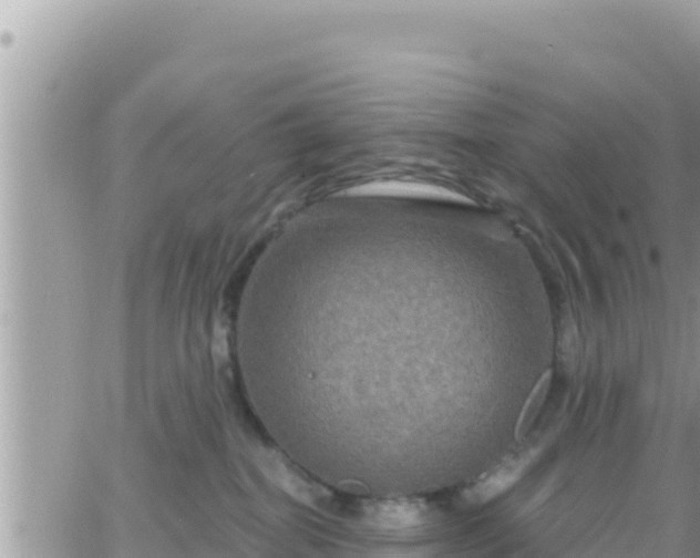 X0000066510282200603241314