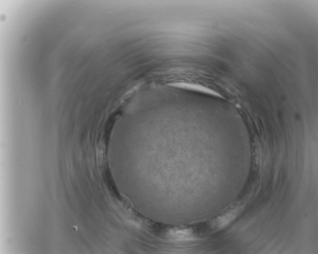 X0000066510283200603241314