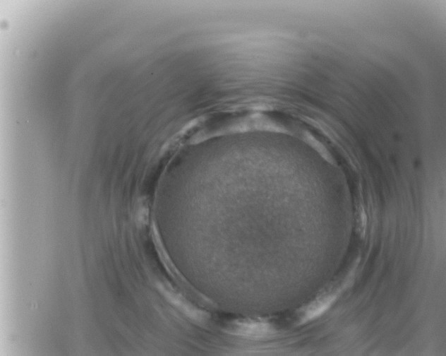 X0000066510284200603241314