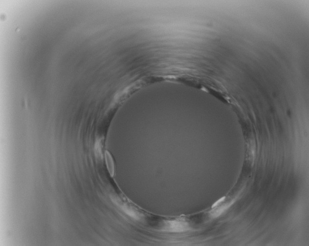 X0000066510286200603241314