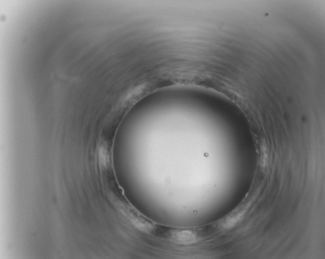 X0000066510287200603241314