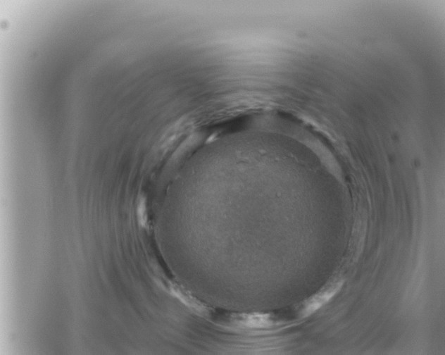 X0000066510288200603241314