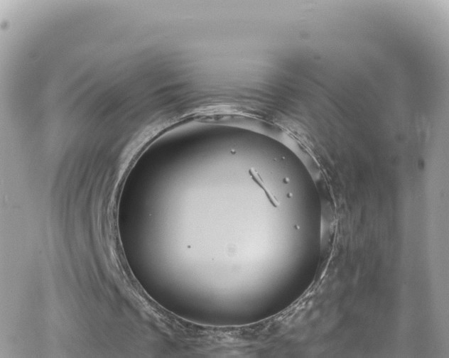 X0000066510289200603241313