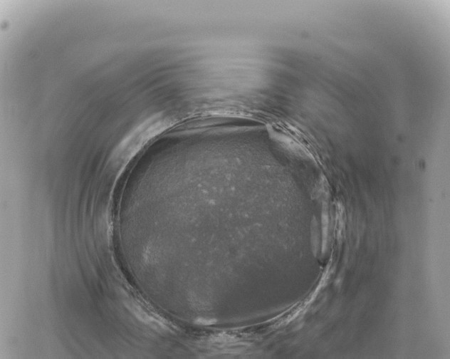 X0000066510290200603241313