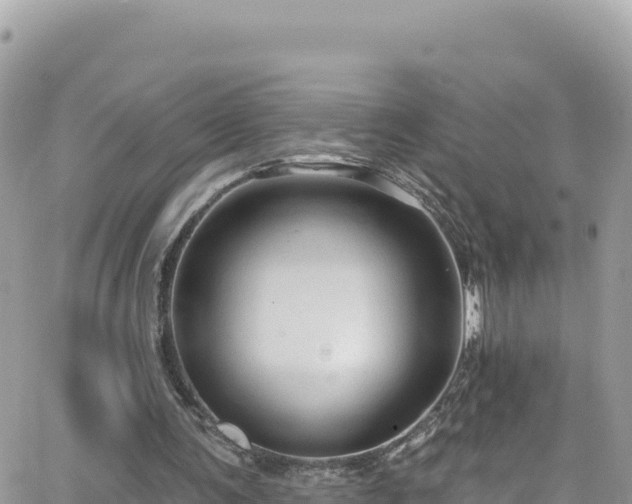 X0000066510291200603241313