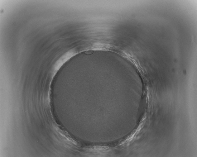 X0000066510292200603241313