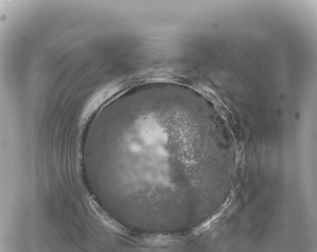 X0000066510293200603241313