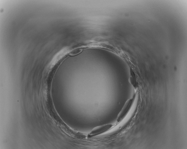 X0000066510295200603241313