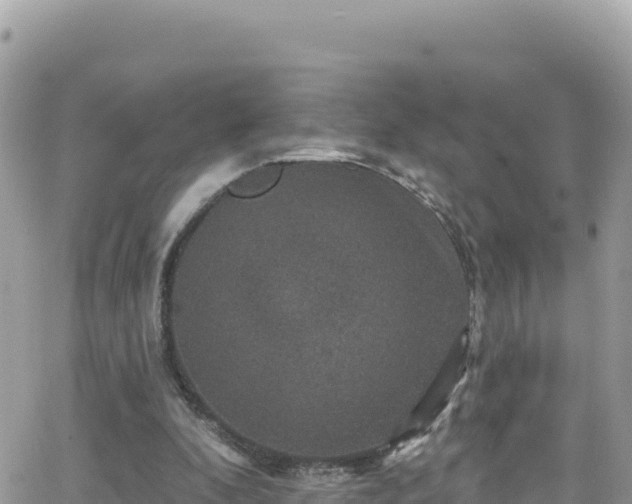 X0000066510296200603241313