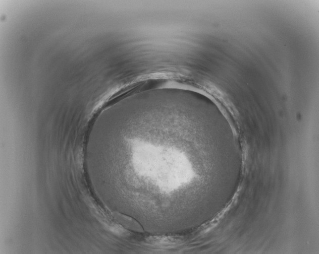 X0000066510297200603241313