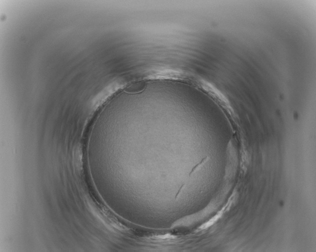 X0000066510298200603241313