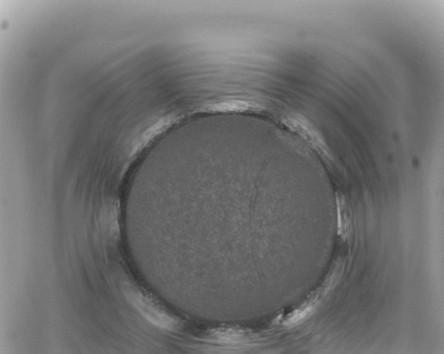 X0000066510300200603241313