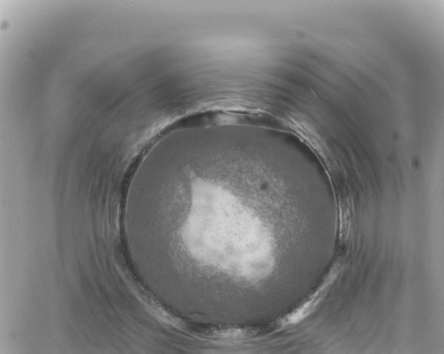 X0000066510301200603241313