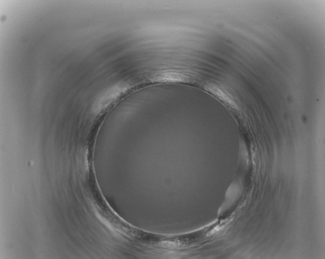 X0000066510302200603241313