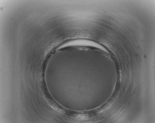 X0000066510303200603241313