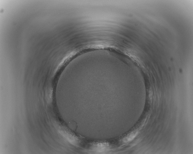 X0000066510304200603241313