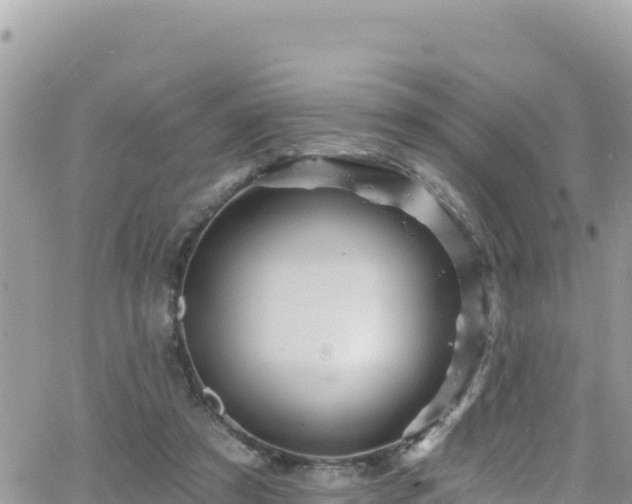 X0000066510305200603241313