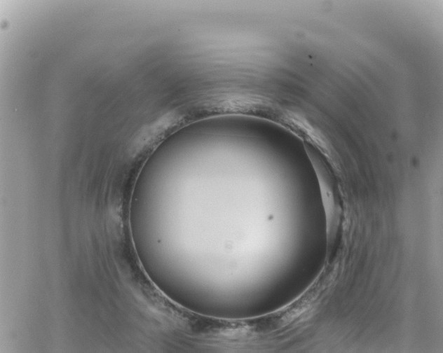 X0000066510306200603241313