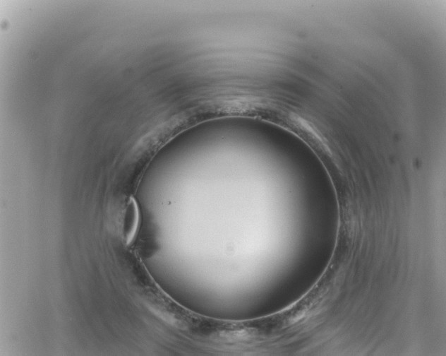 X0000066510307200603241313