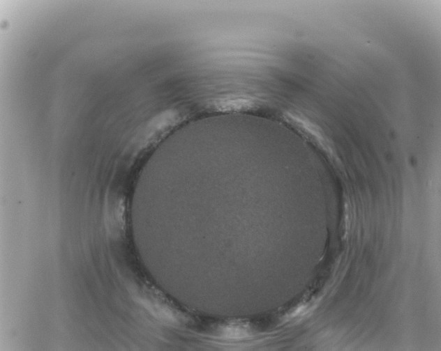 X0000066510308200603241313