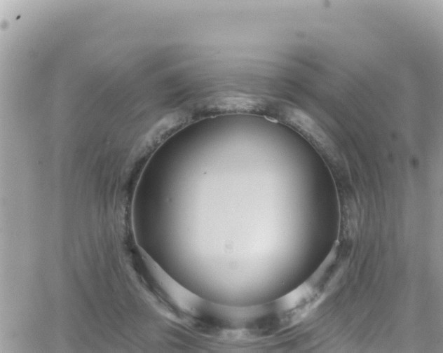 X0000066510309200603241313