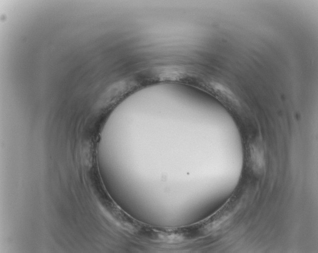 X0000066510311200603241313