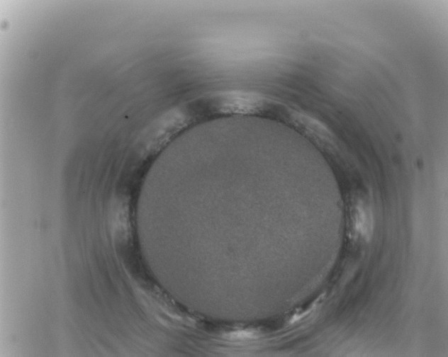 X0000066510312200603241313