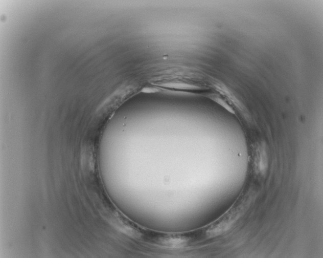 X0000066510313200603241313