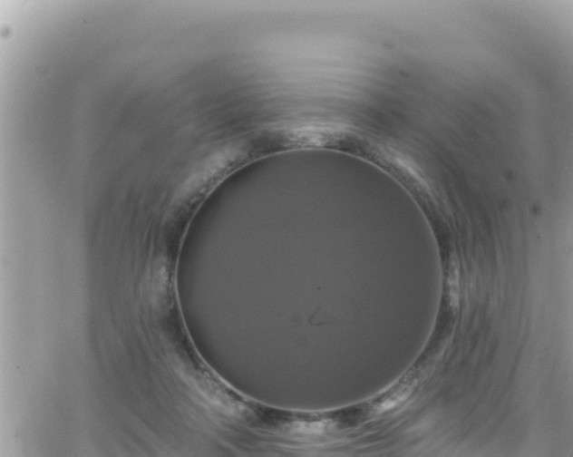 X0000066510314200603241313