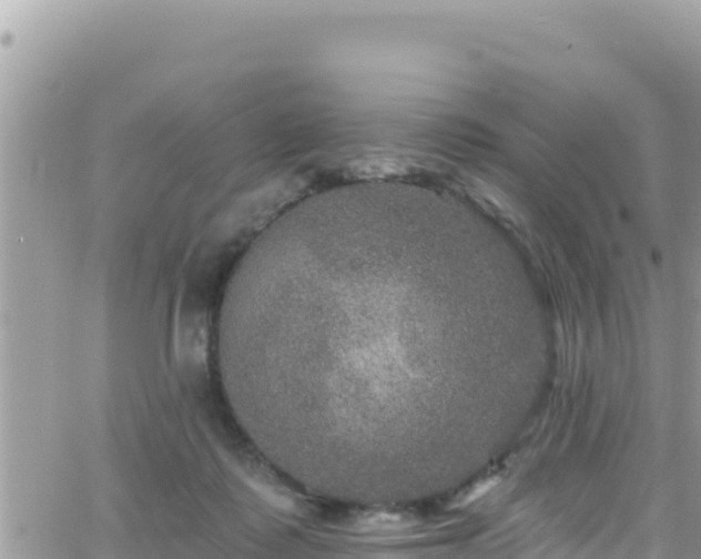 X0000066510315200603241313