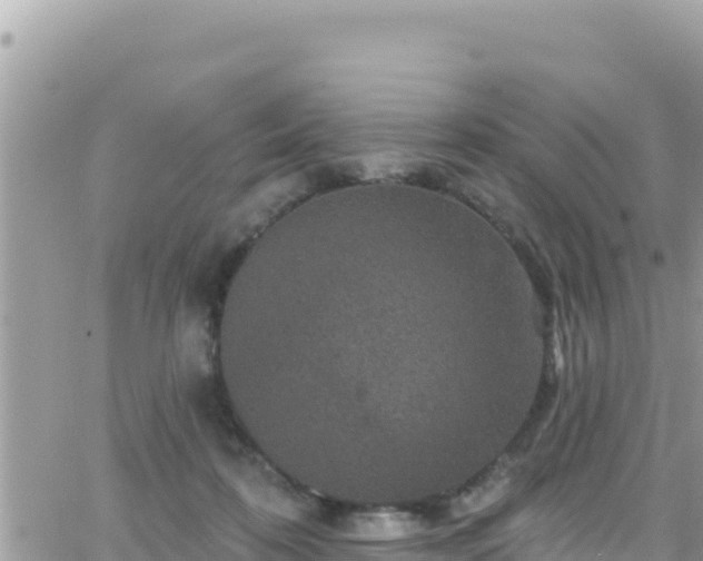 X0000066510316200603241313