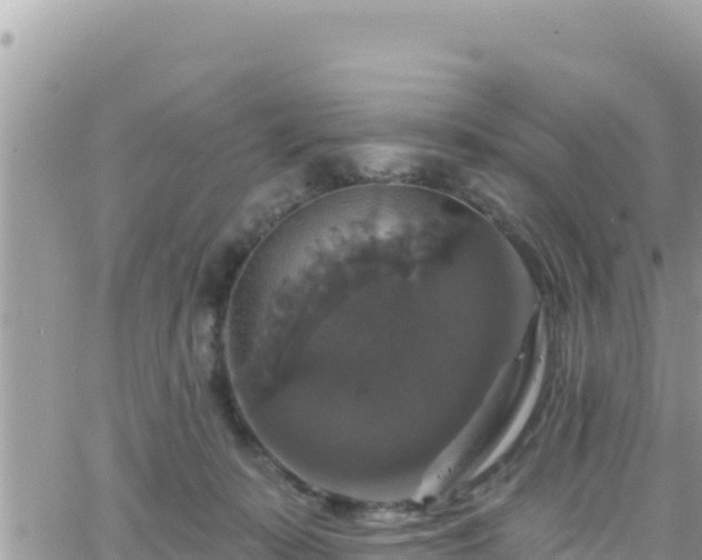 X0000066510319200603241313