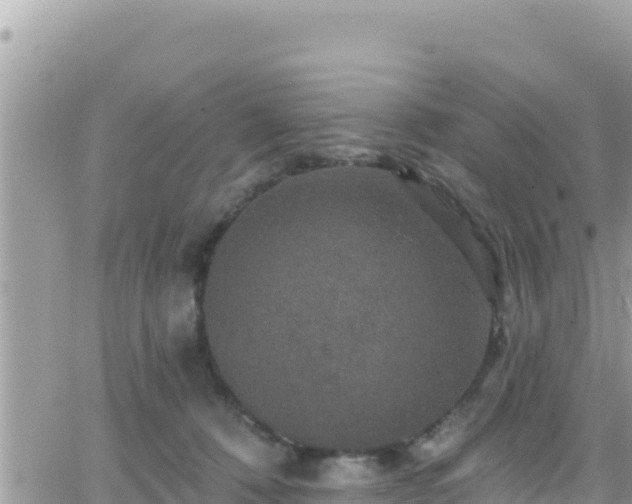 X0000066510320200603241313