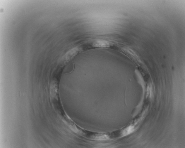 X0000066510322200603241313