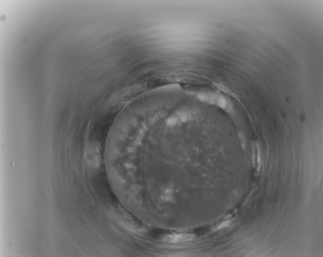 X0000066510323200603241313