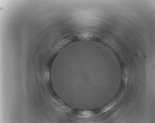 X0000066510324200603241313