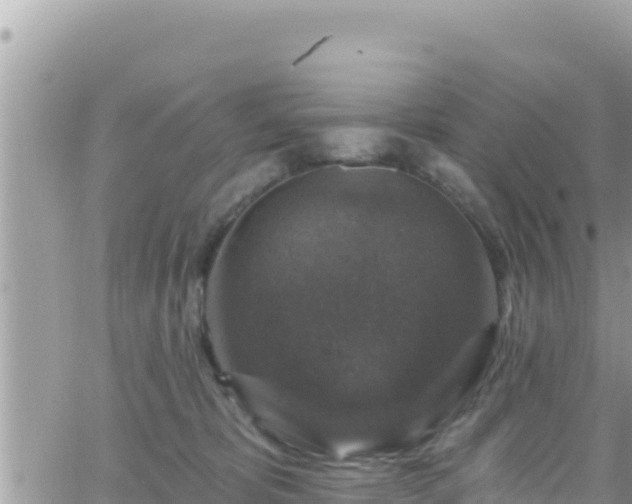 X0000066510325200603241313