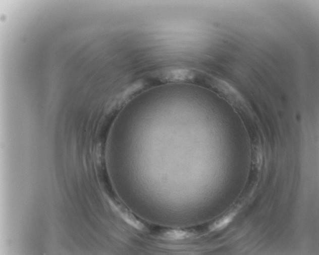 X0000066510326200603241313