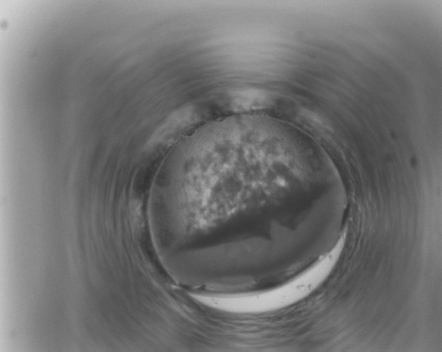 X0000066510327200603241313