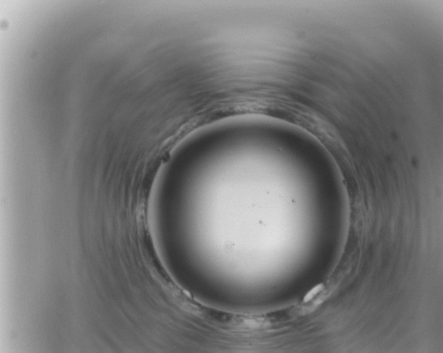 X0000066510329200603241313