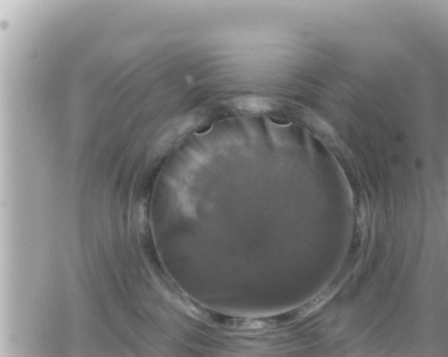 X0000066510330200603241313