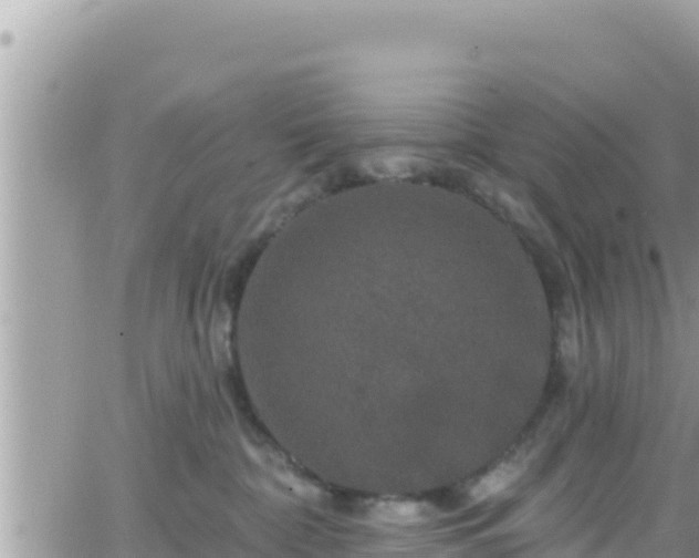 X0000066510332200603241313