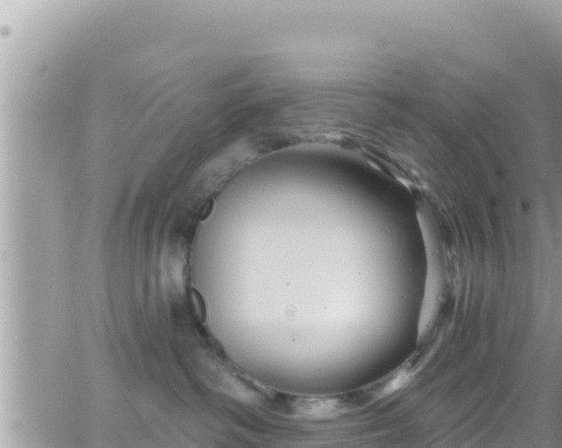 X0000066510334200603241313