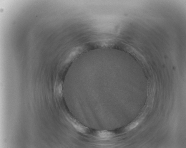 X0000066510336200603241313