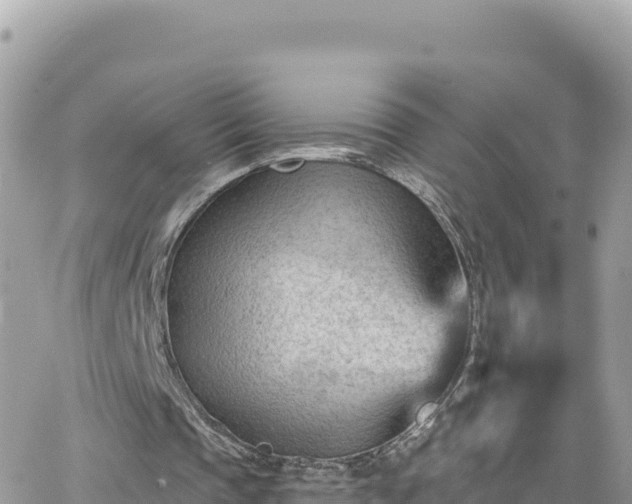 X0000066510337200603241312