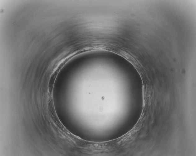 X0000066510338200603241312